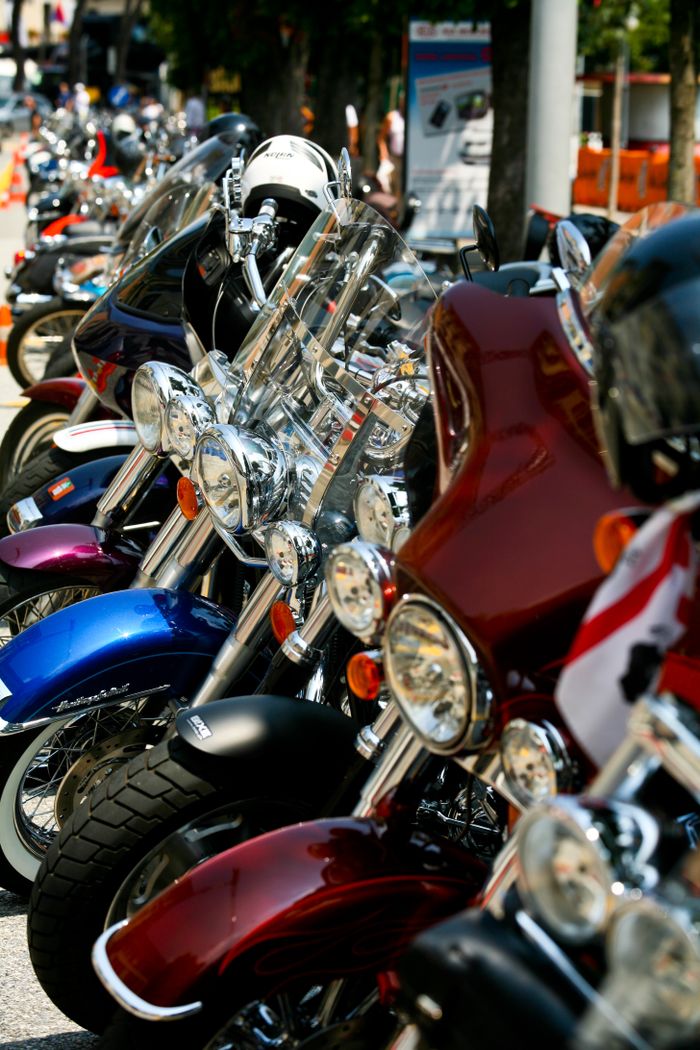 A vibrant display of parked motorcycles lined up on a sunny day, showcasing chrome details.
